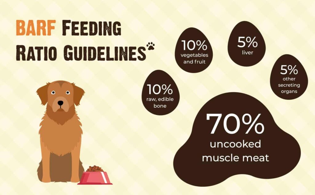 barf-feeding-ratio-guidelines-1536x950