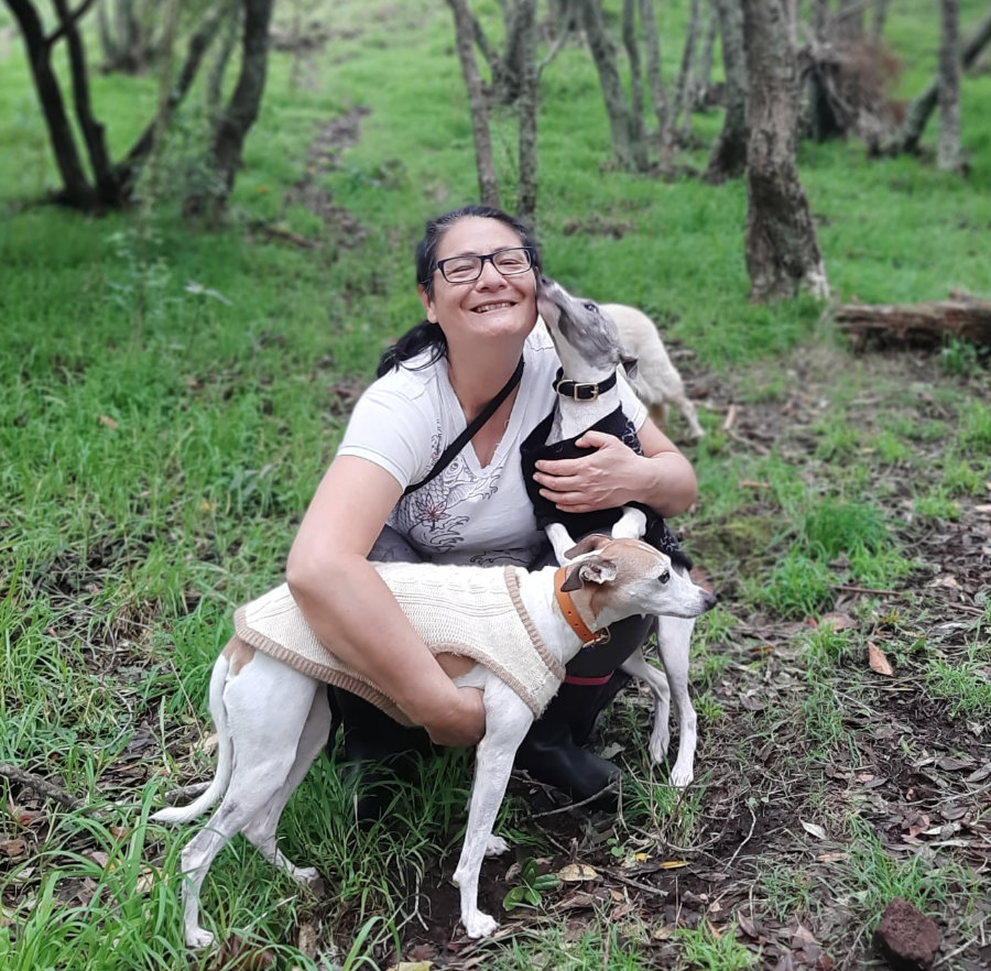 Auckland Dog Walking Pack Walks for Dogs Dear humans