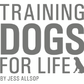 Local Dog Training Classes